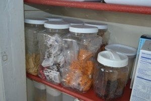 Snack Bins