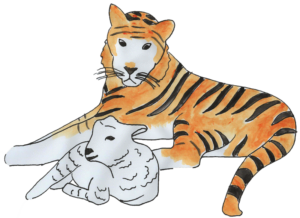 A Tiger and lamb lying down together