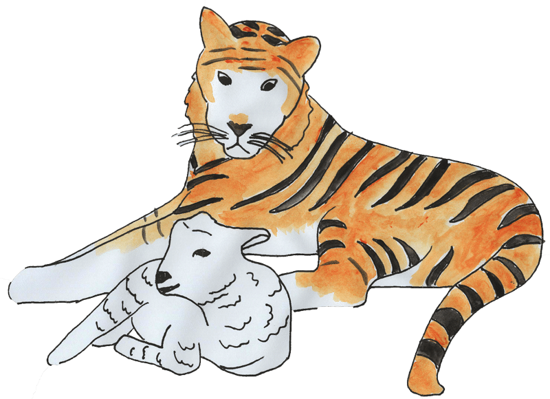 A Tiger and lamb lying down together