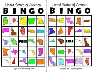 USA Bingo 1 - Layers of Learning