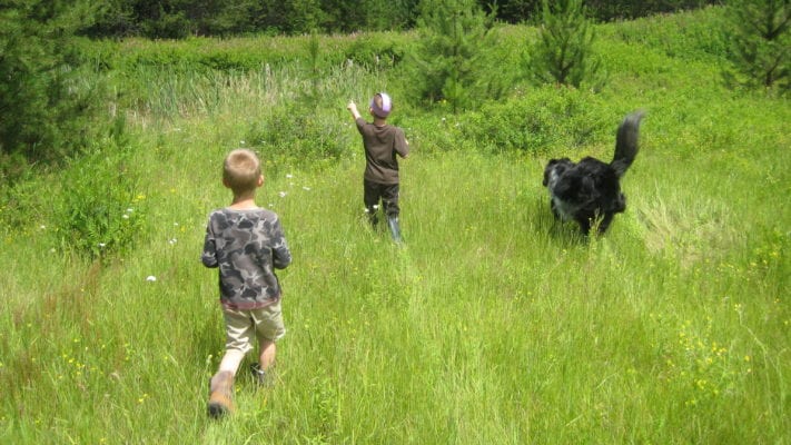kids running through a field with a dog