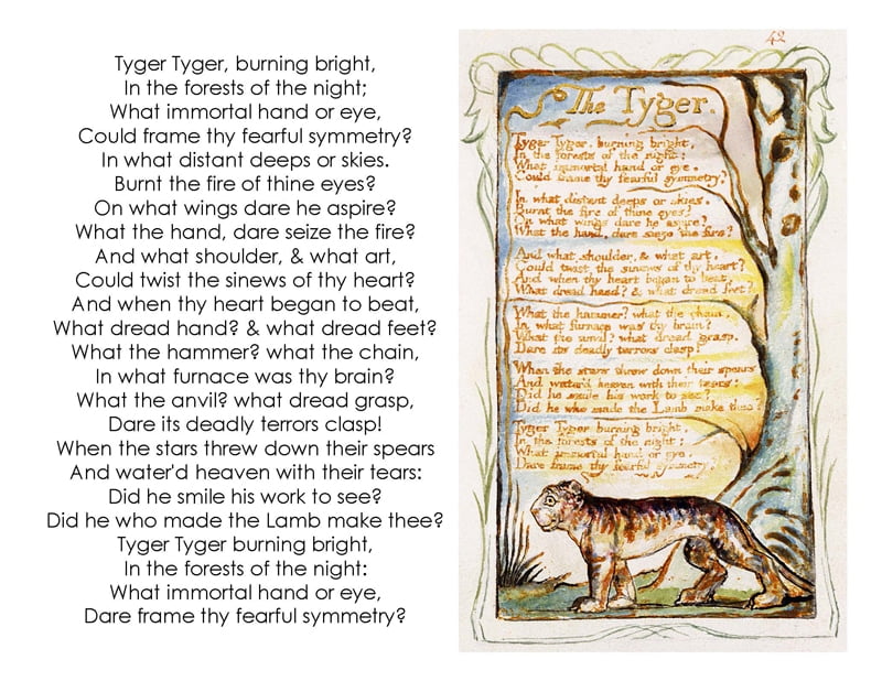 tiger tiger burning bright poem meaning