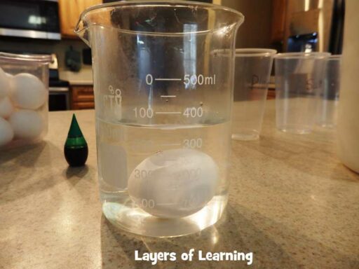 Floating Eggs Experiment - Layers of Learning