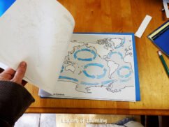 Ocean Floor, Ocean-In-A-Bottle, and Ocean Lapbook - Layers of Learning