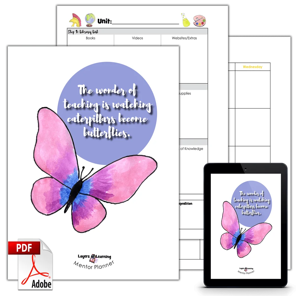 Layers of Learning Mentor Planner - PDF