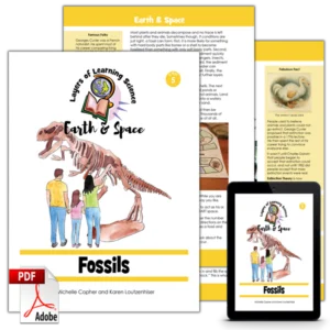 Fossils PDF