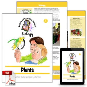 Plants PDF