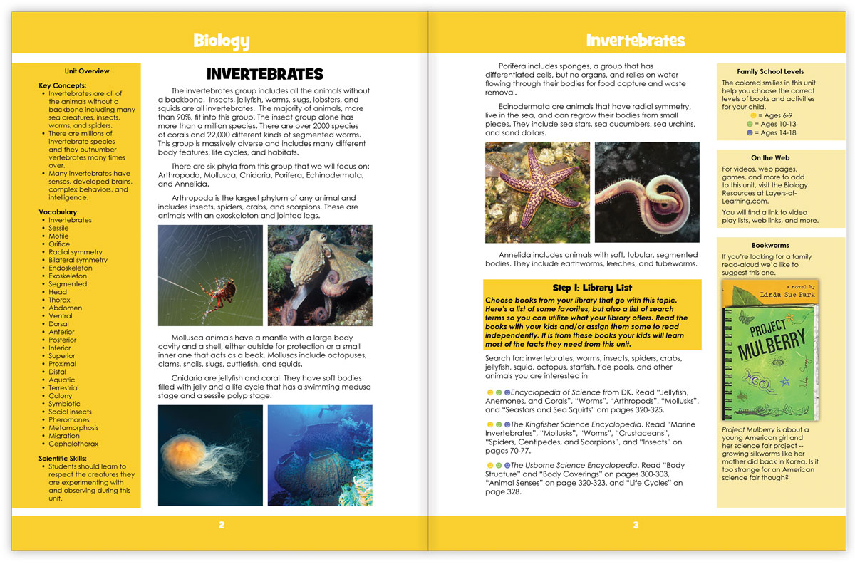 Invertebrates two page spread
