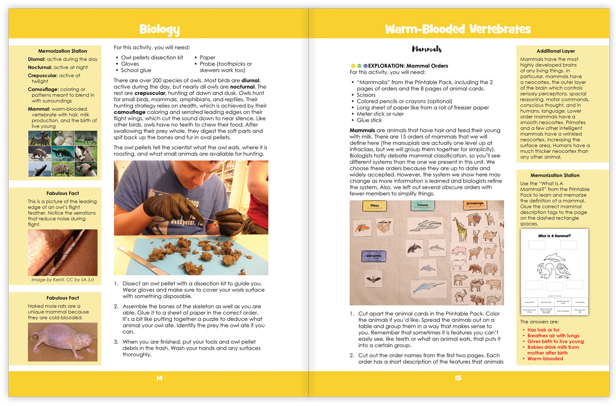 Warm-Blooded Vertebrates is a science unit about birds and mammals for students from 6 to 18 years old. It is meant to be used family-style, where all ages learn together.