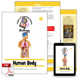 Human Body PDF