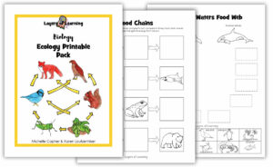 Ecology PDF - Layers of Learning