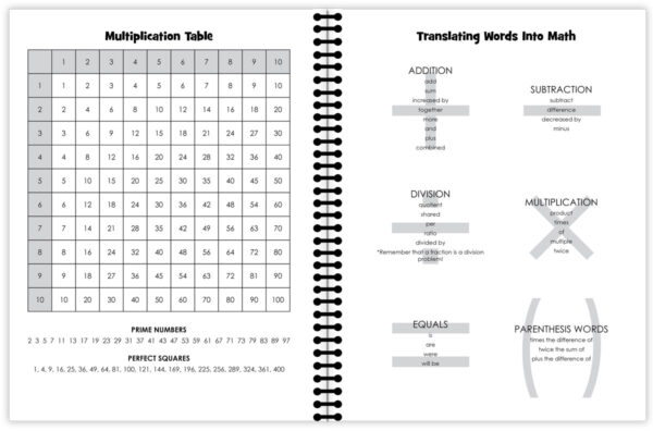 Editable PDF Mentor Planner | Layers of Learning
